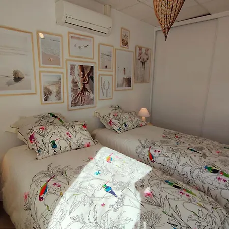 Emplacement Ideal 3 Pieces 50 M De La Lägenhet Algajola (Corsica)