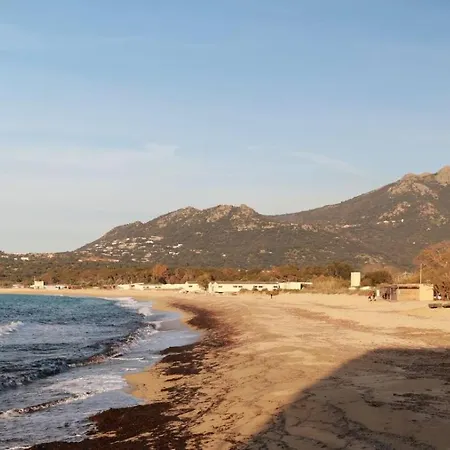 Emplacement Ideal 3 Pieces 50 M De La Апартаменты *