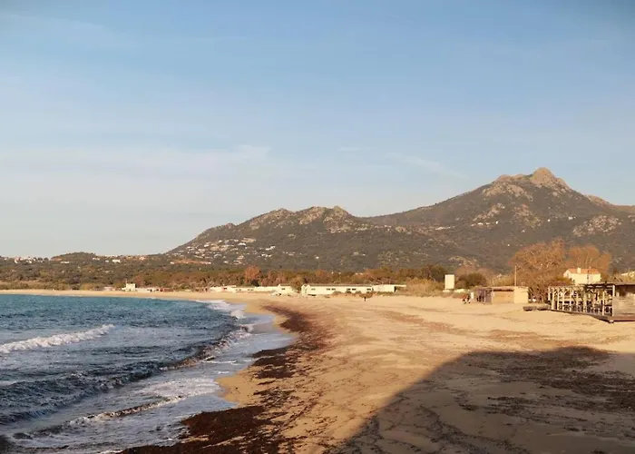 Emplacement Ideal 3 Pieces 50 M De La דירה *