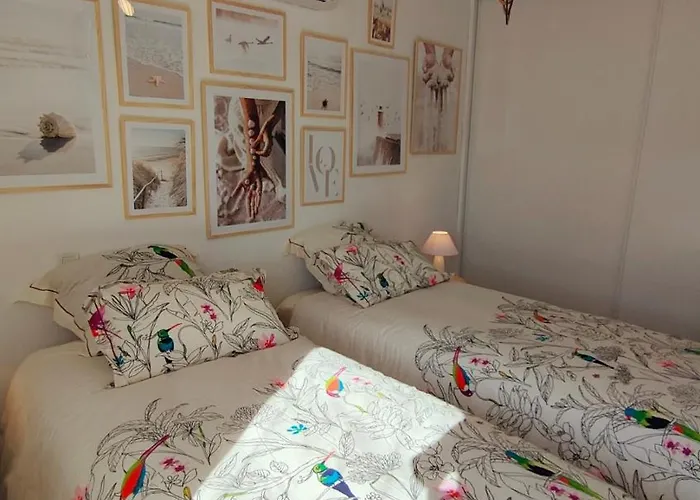 Emplacement Ideal 3 Pieces 50 M De La アパート アルガジョラ